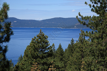 塔霍湖远景松树树木假期山脉蓝色风景旅游旅行山腰图片