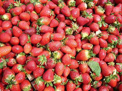 草莓浆果甜点食物饮食红色果味水果营养图片