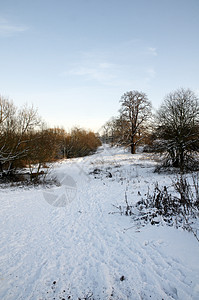 冬天季节国家场景风景天空天气树木降雪场地冻结图片