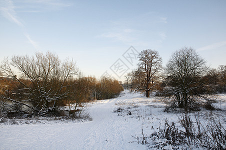 冬天场地国家场景树木季节天空风景降雪雪景天气图片