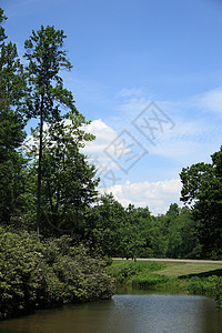 Blue Ridge山  弗吉尼亚州公园风景山脉大路场景旅行旅游森林树木天空图片