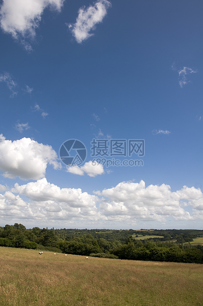 农地季节木头风景美化场地草地鲜花蓝色农田农村图片