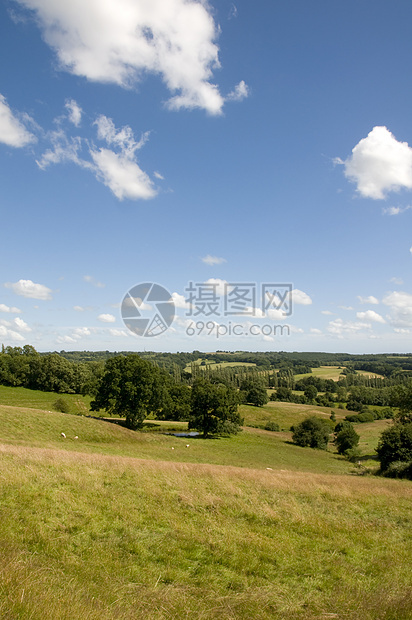 农村现场草地绿地季节公园美化场地花园乡村绿色风景图片