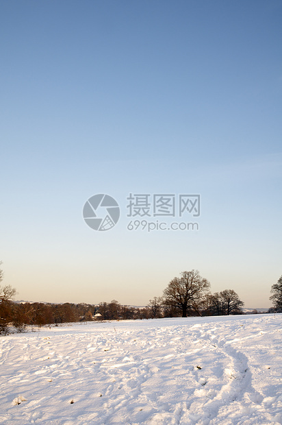 冬季公园场地国家冻结树木场景小路风景天空降雪季节图片