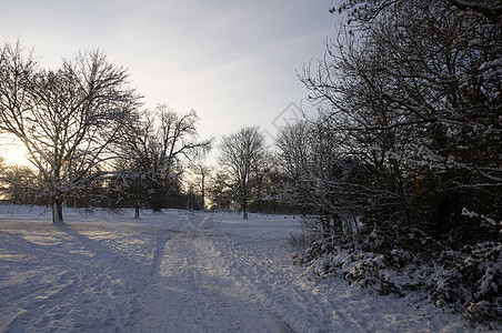 冬天树木天气公园场地风景场景国家天空小路降雪图片