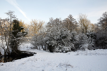 冬天暴风雪公园绿地国家农村季节树木环境雪景小路图片