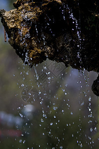 岩石上的水液体乐趣溪流喷泉生活花园流动运动水滴石头图片