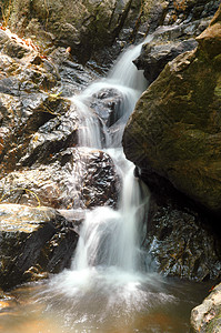 小型瀑布绿色木头环境耳语白色溪流植物灰色跑步石头图片