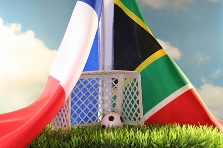 2010年世界杯 法国诉南非图片