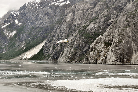 阿拉斯加冰川蓝色冰山丘陵爬坡山脉图片