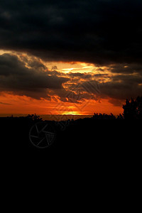 斯温顿日落树木农村分支机构剪影太阳红色气氛阳光黑色景观图片