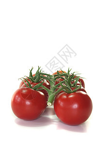 番茄收成食物花园绿色营养蔬菜西红柿沙拉维生素烹饪图片