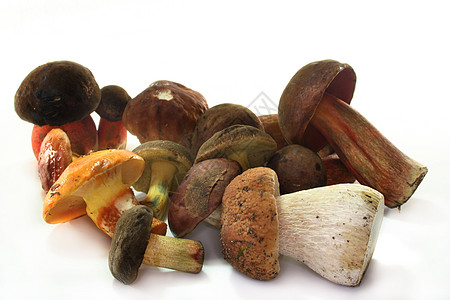 野蘑菇蔬菜维生素营养栗子石蘑菇烹饪饮食收集食物背景图片