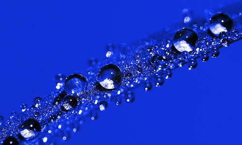 水滴绿色水珠反射闪光蓝色珍珠雨滴图片