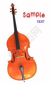 Cello 孤立在白色的乐器细绳文字音乐乐队背景图片