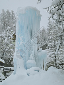 冷冻喷泉树木森林林地图片