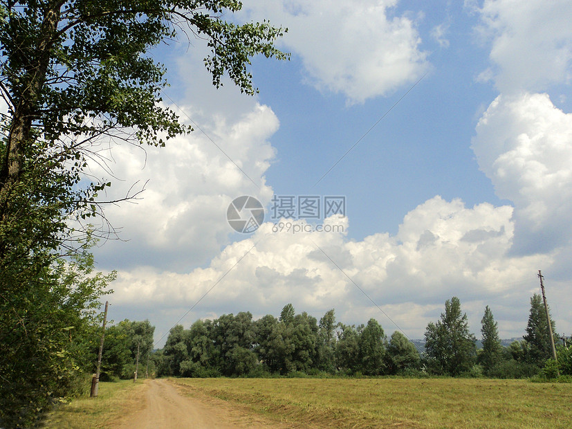 带有道路的景观植物蓝色绿色外邦黄色地平线多叶植物群床单图片