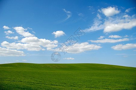 蓝色天空和云雾的绿地曲线远景场地晴天自由场景草地牧场风景爬坡图片