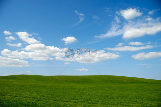蓝色天空和云雾的绿地曲线远景场地晴天自由场景草地牧场风景爬坡图片