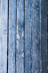 树木背景背景剥皮艺术地面木板房间控制板硬木房子材料木头图片