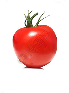 番茄白色红色背景图片