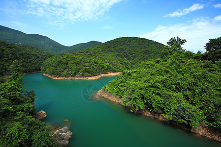 森林中的湖泊公园旅行岩石地平线晴天木头镜子风景森林旅游图片