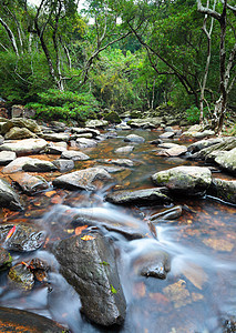 丛林中的泉水风景太阳溪流岩石阳光热带荒野公园流动墙纸图片