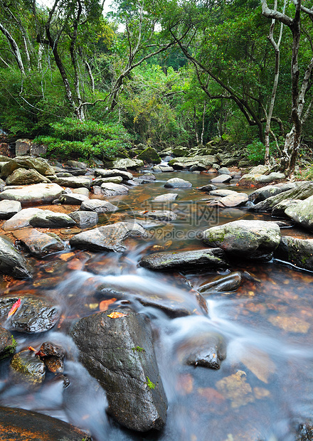 丛林中的泉水风景太阳溪流岩石阳光热带荒野公园流动墙纸图片