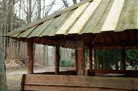 Wooden野餐住所 性质山脉树木平房屋顶日志木板木材凉亭木头森林图片
