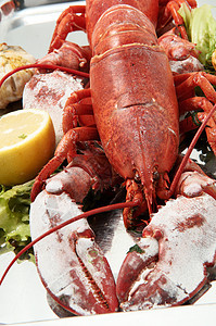弗瑞斯洛博斯特红色盘子酒吧玉米港口美食海岸餐厅龙虾服务图片
