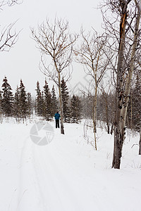 克鲁斯国家滑雪车上的人城市森林假期小路娱乐蓝色跑步季节越野雪花图片