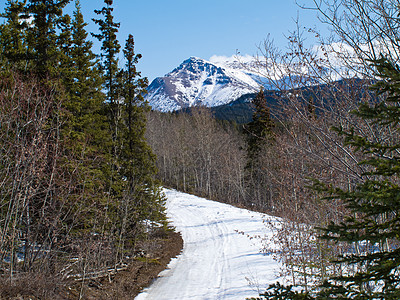 加拿大育空山区的冬季足迹 加拿大图片