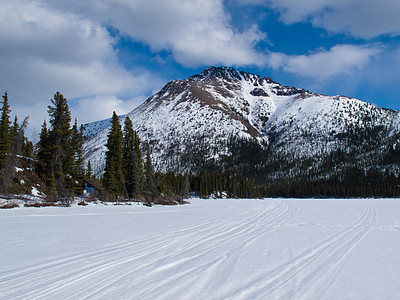 在冰冻的山湖上 利用了冬季足迹森林踪迹滑雪机器地区云杉天空农村孤独仙境图片