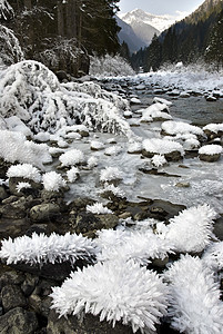 阿尔卑斯山谷的冬季全景高度荒野阳光蓝色季节阴影岩石松树旅行天空图片