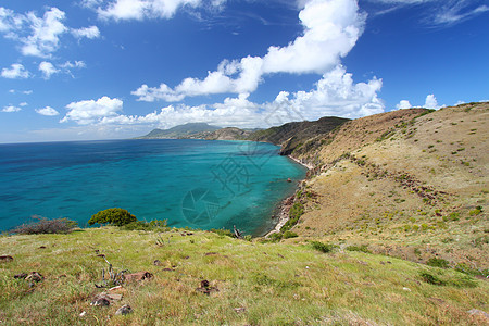 圣基茨海岸线蓝色天堂海岸天空栖息地叶子海洋植被风景植物群图片