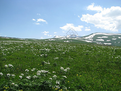 主要高加索山脊全景青菜距离山丘冰川旅游山脉天空植物花朵图片