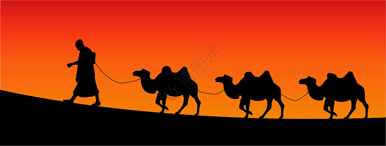 骆驼晴天游客运输沙漠贸易动物旅行男人旅游野生动物图片