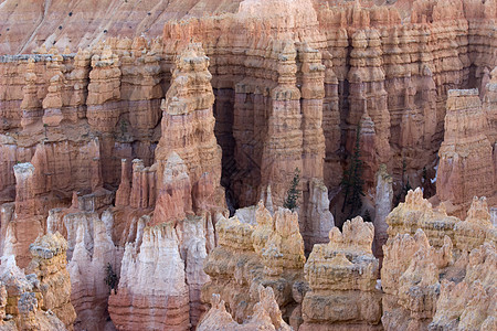 布赖斯峡谷国家公园农村山脉岩石红色沙漠假期峡谷旅行橙子图片
