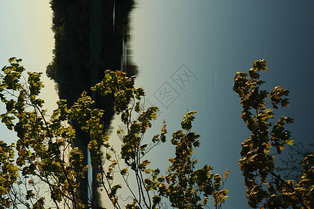 沃尔科夫河的景象反射阴霾天空树木蓝色地标旅游叶子金子镜子图片