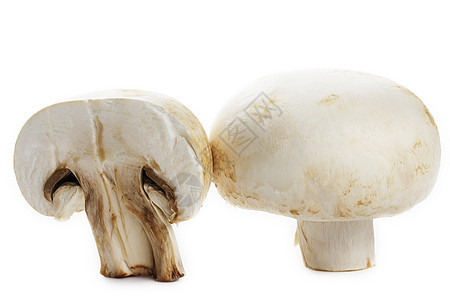 白蘑菇半背景图片