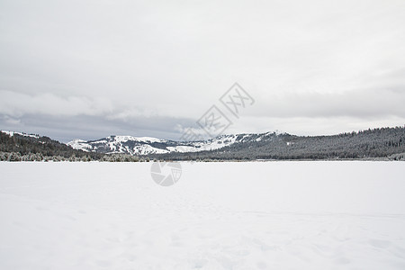 雪山场景白色雪景天空滑雪丘陵季节粉末风景松树图片