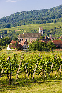法国阿尔萨斯奥尔施维赫尔位置酒业外观教会农业房屋村庄乡村房子教堂图片
