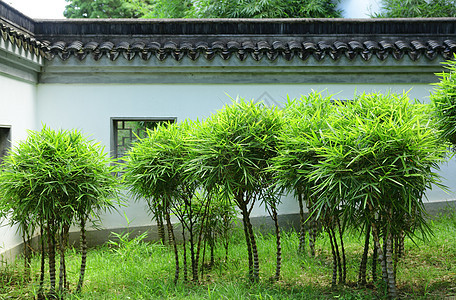 中国花园寺庙松树天空艺术花朵房子园艺植物分支机构建筑图片