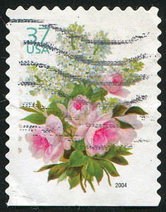 盖上邮票植物群历史性古董海豹明信片信封花瓣植物学植物邮戳图片