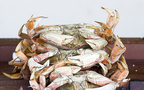 螃蟹美食红色动物寿司海鲜小龙虾龙虾饮食渔夫甲壳图片
