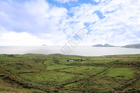 绿色的爱尔兰草地和海藻岩石风景图片