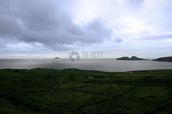 湿地和海藻岩石风景图片