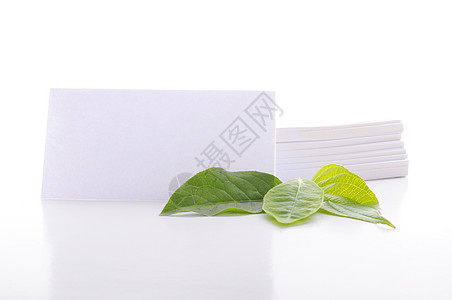 纸页页树叶生态横幅公告笔记纸提示器绿色空白叶子环境背景图片