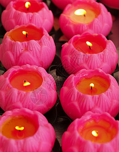粉粉蜡烛希望橙子燃烧奉献崇拜火焰粉色寺庙温泉烛光图片