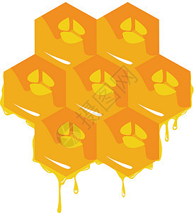 关于蜂窝的橙色背景 矢量细胞卡通片蜂蜡食物太阳边界绘画动物六边形插图图片
